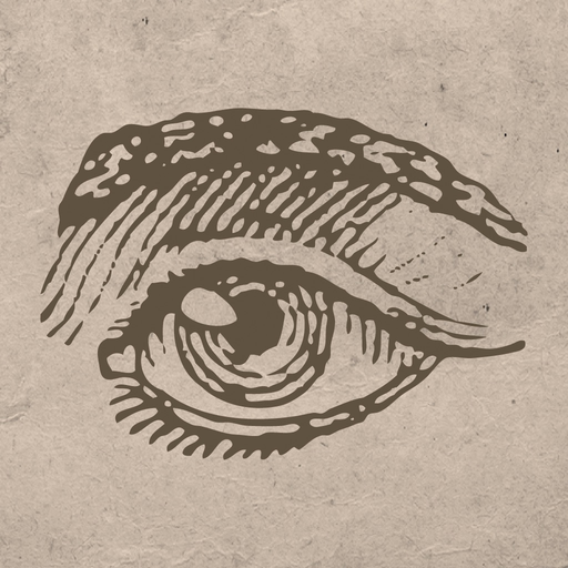 Hudzovision app icon