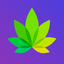 IndicaOnline POS icon
