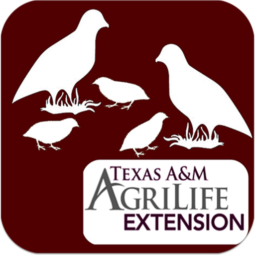 Northern Bobwhite Habitat Evaluation app icon