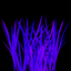 Bluegrass Chords icon