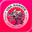USA Karate Somerset icon