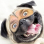 Dog Me! icon