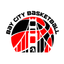 Bay City Basketball icon