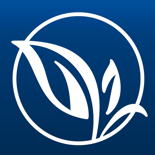 Spruce It Up app icon