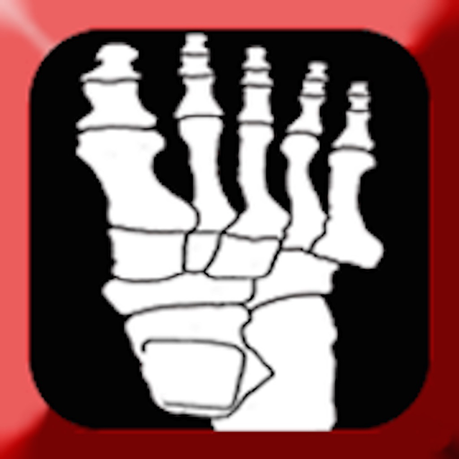Pocket LEA app icon