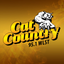 Cat Country 95.1 icon