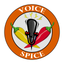 Voice Spice Online Recorder icon