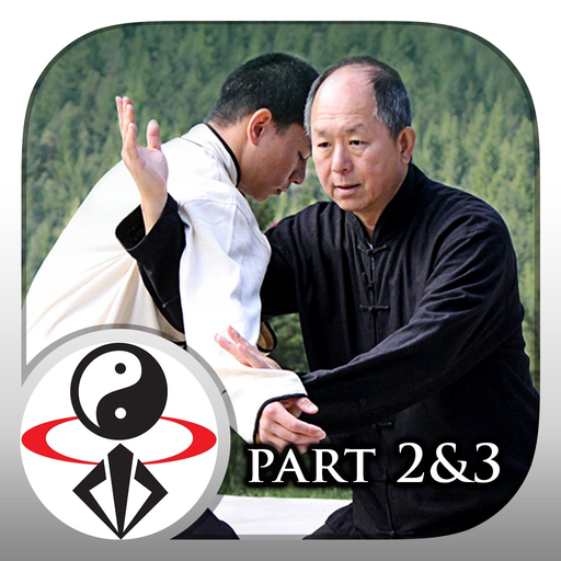 Yang Tai Chi for Beginners 2&3 app icon