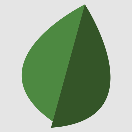 Fortifi Bank app icon