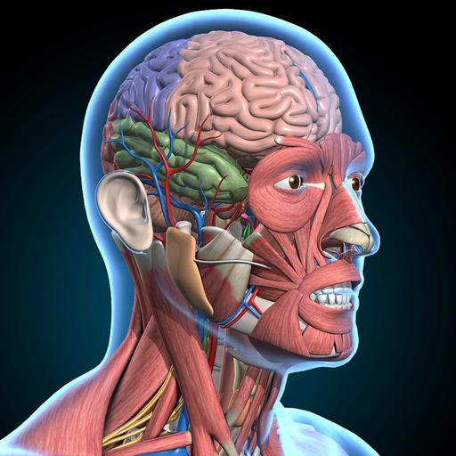 Visible Anatomy app icon