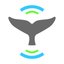 Whale Alert icon