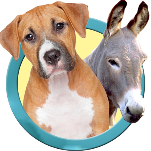 Animal Sounds And Pictures for Toddlers app icon