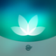 HealtheLife icon