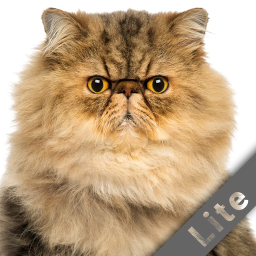 Go Away! -Lite app icon