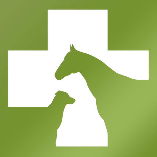VES app icon