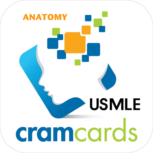 USMLE Anatomy Cram Cards app icon