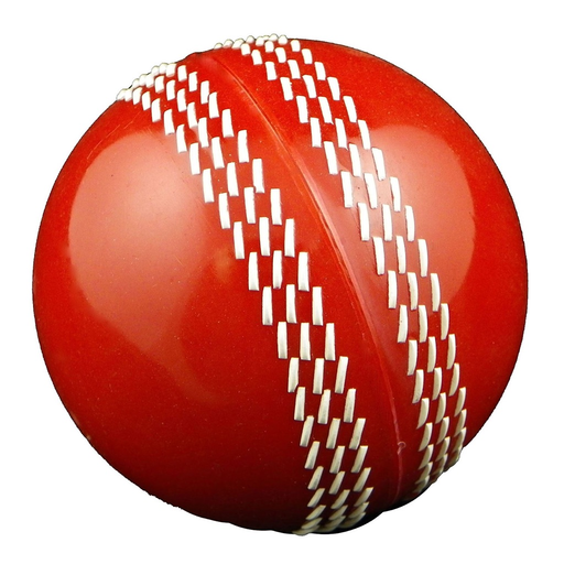Live Cricket Scores & News app icon