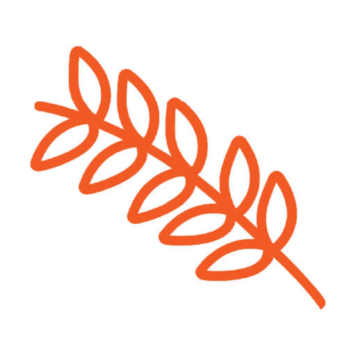 Musée suisse du Blé et du Pain app icon