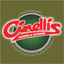 Cinellis icon