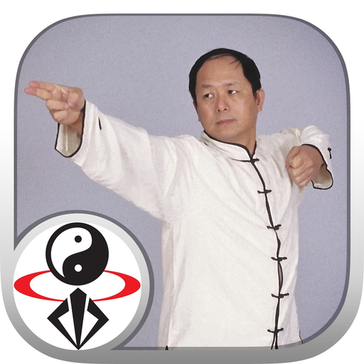 Eight Brocades Qigong Standing app icon