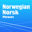 Learn Norwegian Phrasebook Pro icon