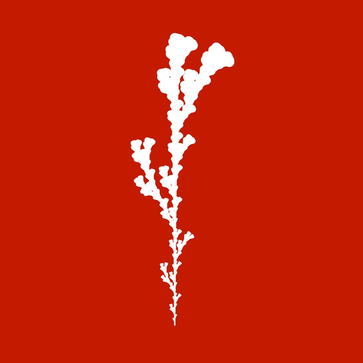 FractalScapes Fractal Designer app icon