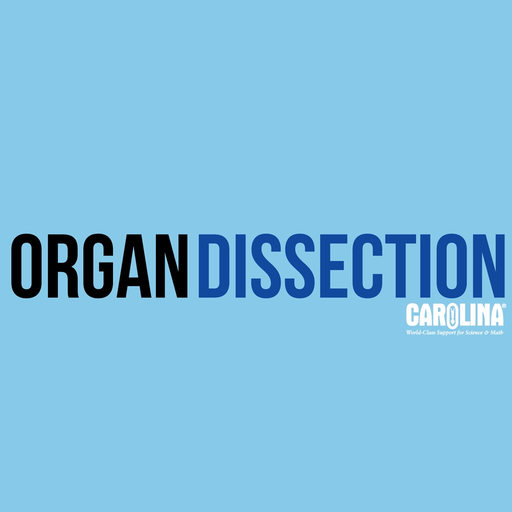 Mammalian Organ Dissection app icon