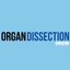 Mammalian Organ Dissection icon