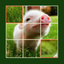 Animal Jigsaw Puzzle - Ultimate swap tile game edition icon