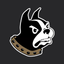 Wofford Terriers icon