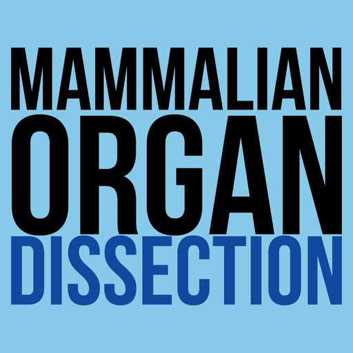 Mammalian Organ Dissection Free app icon
