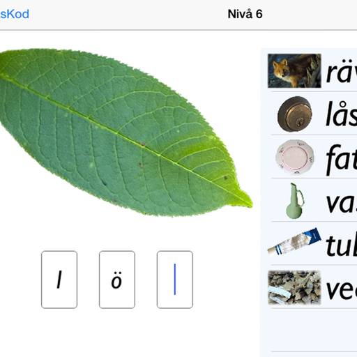 LäsKod app icon
