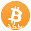 BitPulse Bitcoin to Currency Converter icon