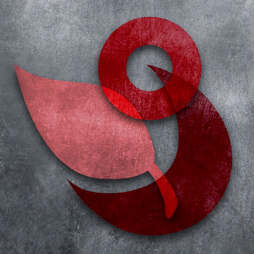 Bricolage - Video Toolkit app icon