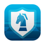 Chess Online + icon