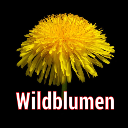Wildblumen Mitteleuropas app icon