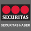 Securitas News icon