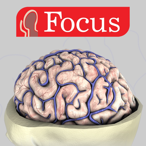 NEUROANATOMY - Digital Anatomy app icon