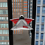 Aerial Rush 3d icon
