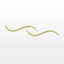 RiverNorthMassage icon