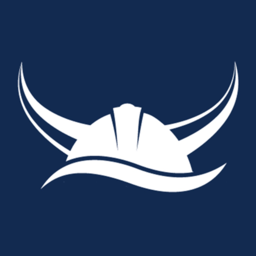 VikingGO app icon