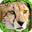 Cheetah Simulator icon