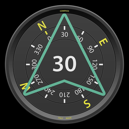 Compass Pro - Aircraft app icon