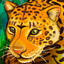 Sai Cuentos de los Ancestros 1 icon