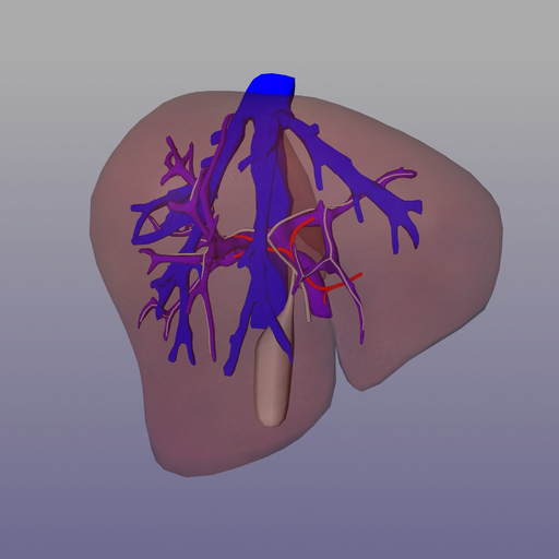 Liver Surgery AP-HP app icon