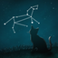 Night View icon
