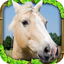 Wild Horse Simulator icon