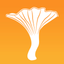My Mushroom Spots icon