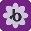 Bloomerang Volunteer icon