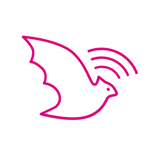 BatOnRoute Safe app icon